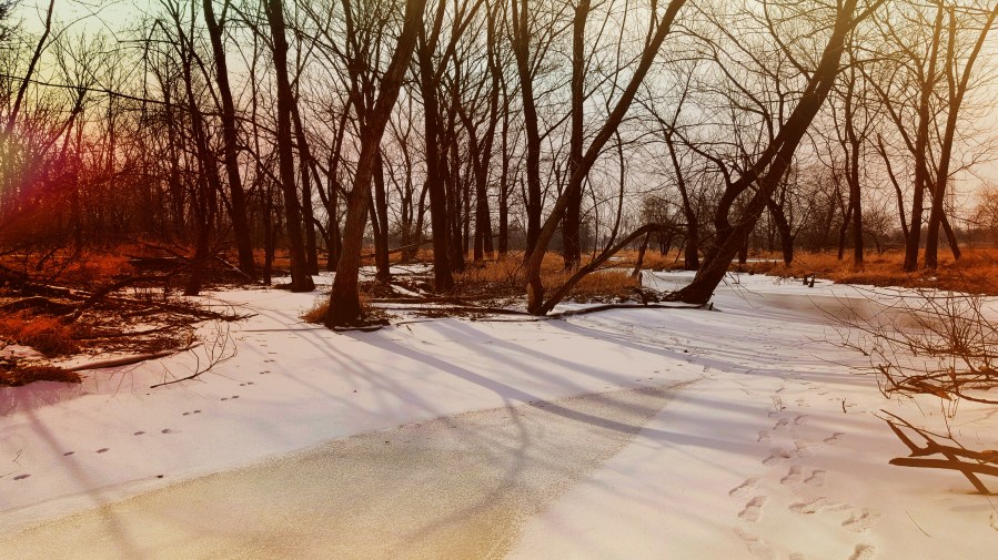 2016-01-31 13.59.40.jpg